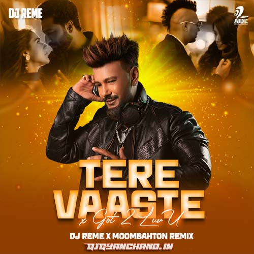 Tere Vaaste X Got 2 Luv U (Moombahton Remix) Mp3 Song - DJ Reme